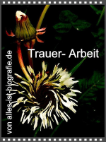 Manchmal ist die Trauer- Arbeit nach einem Verust durch einige Faktoren erschwert.